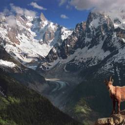 This is a description text for this gallery